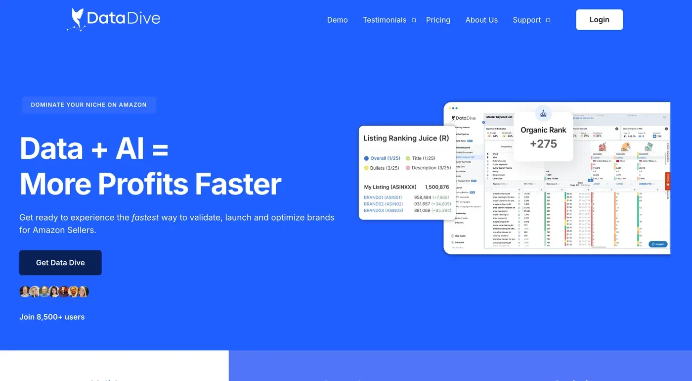 DataDive homepage