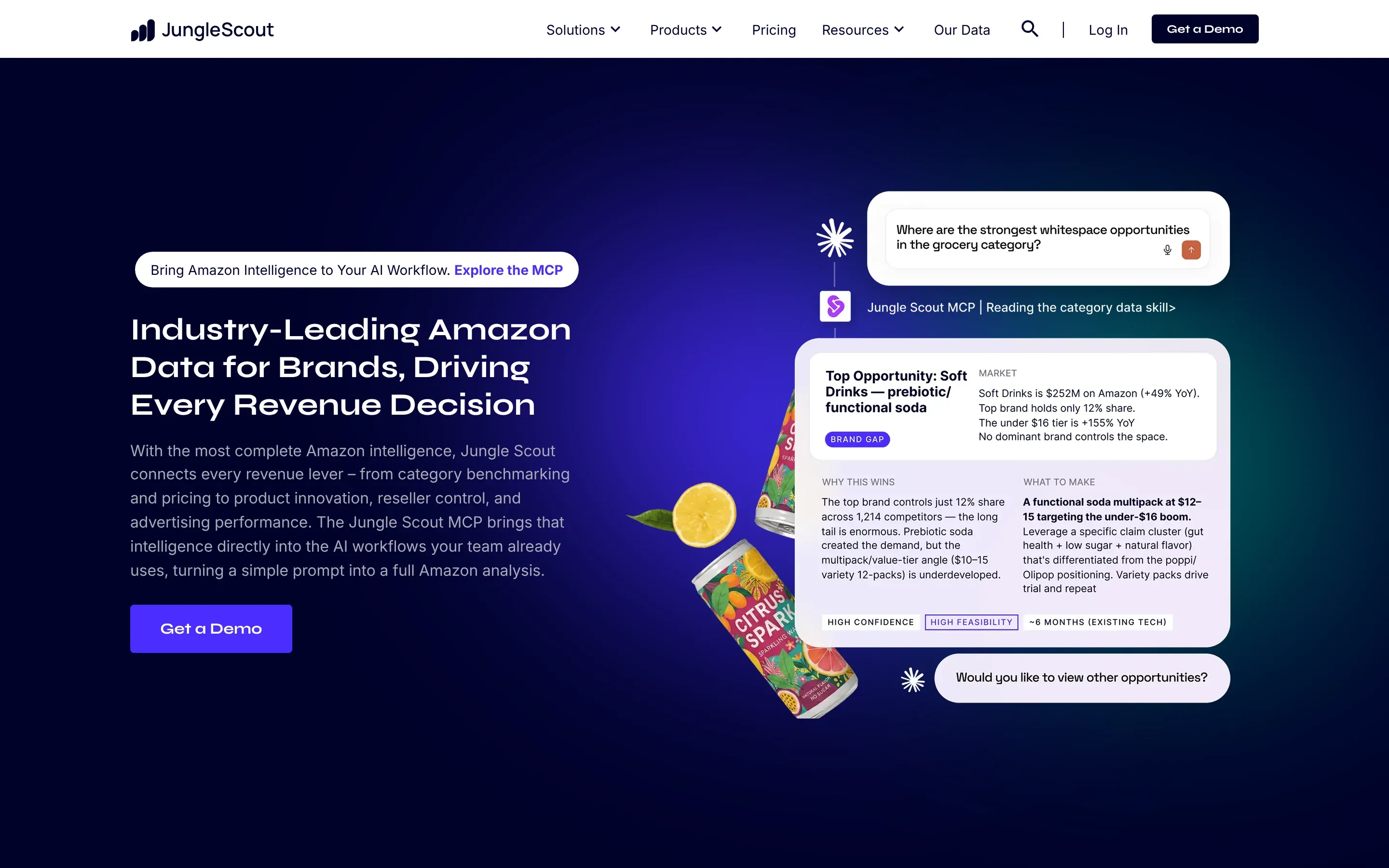 Jungle Scout homepage with Amazon market data and the Jungle Scout MCP